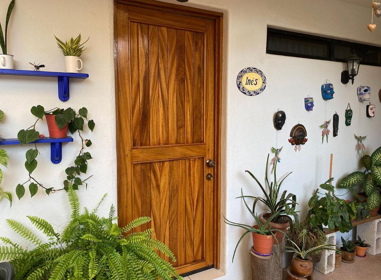 Zandoyo Bed & Breakfast Puerto Escondido  Exteriör bild